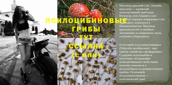 ALPHA PVP Волосово
