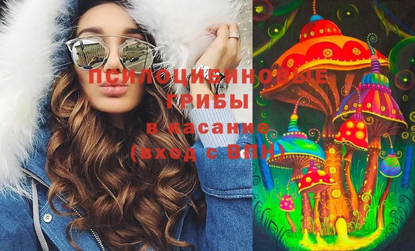 mdpv Волоколамск