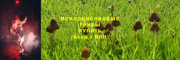 гидропоника Володарск