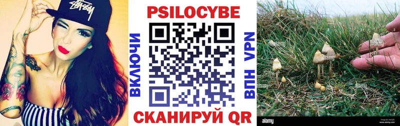 Псилоцибиновые грибы мицелий  Купить  Котельники 